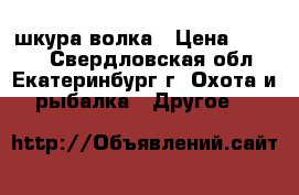 шкура волка › Цена ­ 2 000 - Свердловская обл., Екатеринбург г. Охота и рыбалка » Другое   